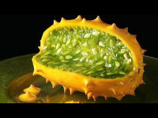 Conheça as frutas mais exóticas do mundo - BBC News Brasil