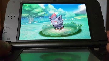 Live shiny Zorua after only 23 Dexnav ecounters ( Pokémon Omega Ruby )