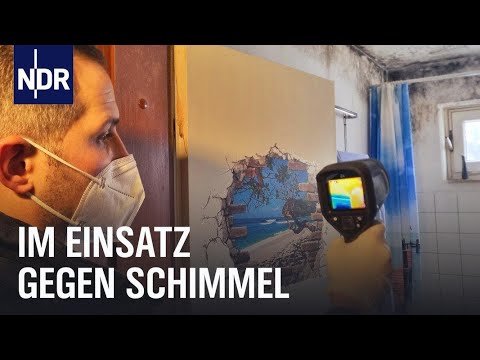 Wonderwall - Oasis (covered by Schimmelgefahr)