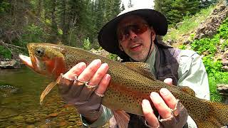 Fly Fishing The South Fork Conejos River, Colorado