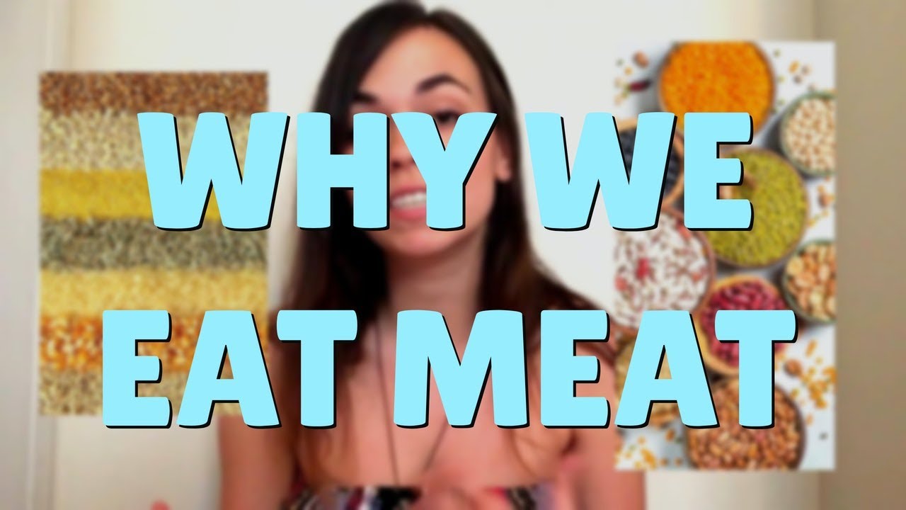 Why We Eat Meat - YouTube