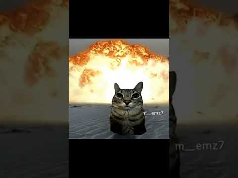 منتجو هذا الفيديو    لاري لاري  اكسبلور ترند  