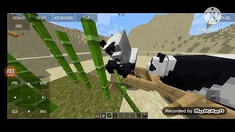 Getting every 1.11 advancement in 19 minutes! [Minecraft Java Edition]