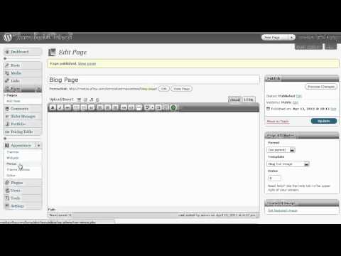 Blog Page Install in WordPress Theme from madza