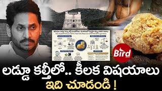లడ్డూ కల్తీలో.. కీలక విషయాలు.. ఇది చూడండి ! | Shocking facts On TTD Laddu Ghee Adulteration |
