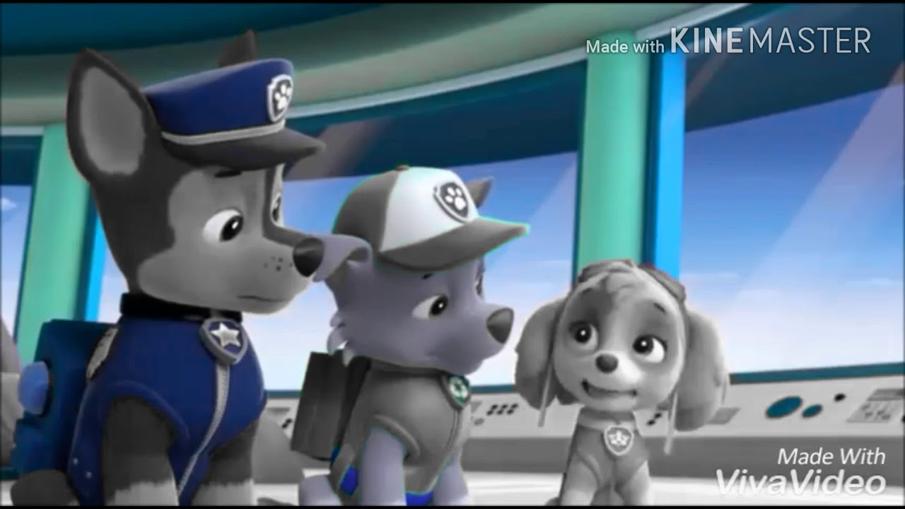 camera iphone 8 plus apk Skye ft chase can we still be friends? Paw patrol