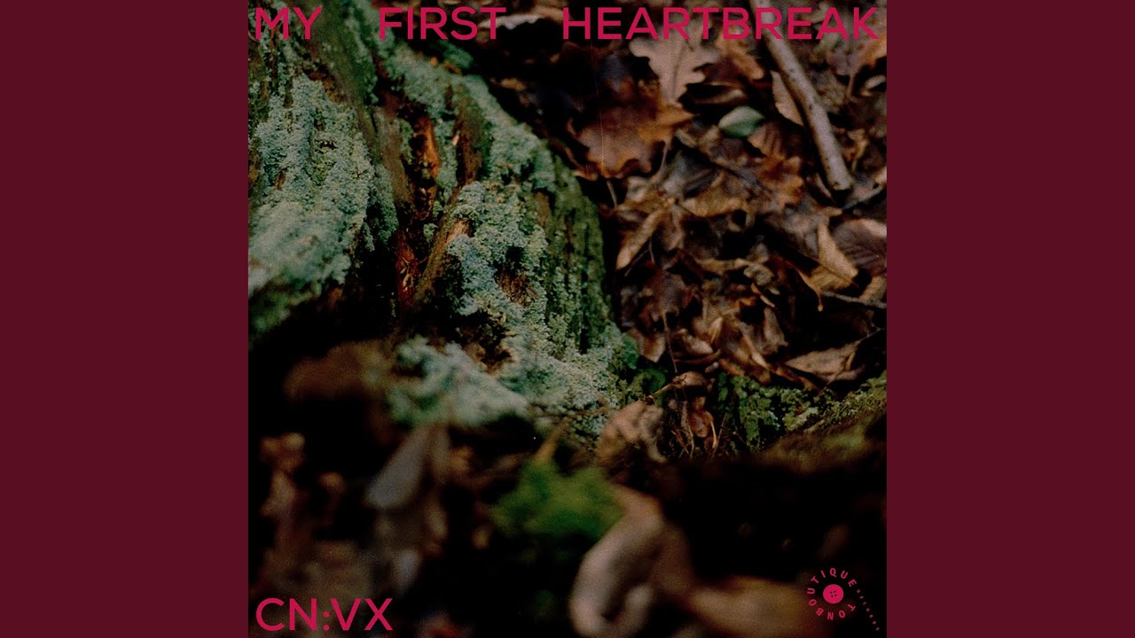 MY FIRST HEARTBREAK (Original Mix)
