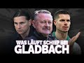 Vom Musterschüler zum Bundesliga-Sorgenkind! Was läuft schief bei BORUSSIA MÖNCHENGLADBACH?