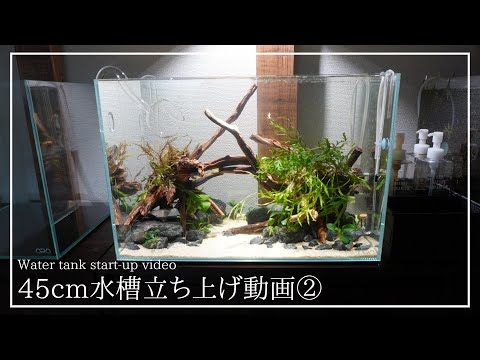 45cm aquarium setup video②#42 - YouTube