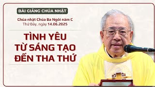Tình yêu từ sáng tạo đến tha thứ - Lm Ignatio Hồ Văn Xuân | Chúa Ba Ngôi năm C