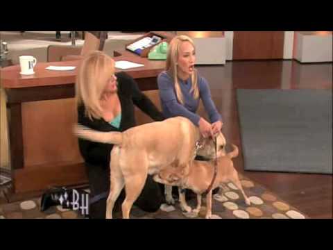 Dina Zaphiris on The Bonnie Hunt Show 1-23-09