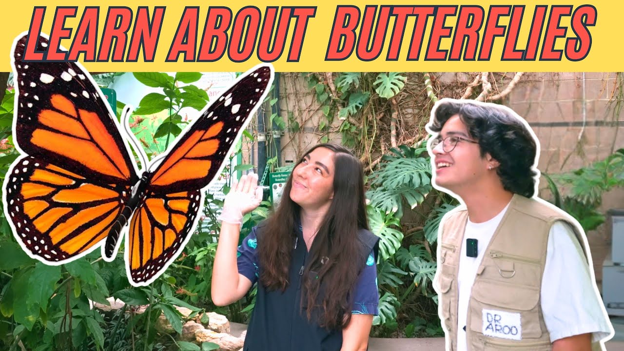 Latest Title & Thumbnail