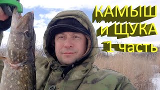 🔥 Поставил ЖЕРЛИЦЫ под КАМЫШ (часть 1). Найду я там щуку в глухозимье? Экспериментальная рыбалка 🔥