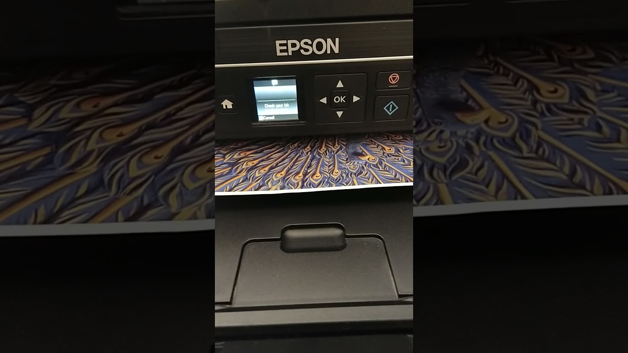 hasil cetak photo printer epson L455