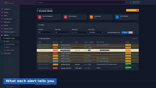 DSGuard ShellAI Security Alerts