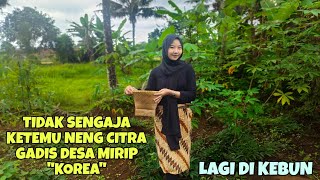 GA SENGAJA KETEMU NENG CITRA GADIS DESA CANTIK MIRIP KOREA DIKEBUN SINGKONG