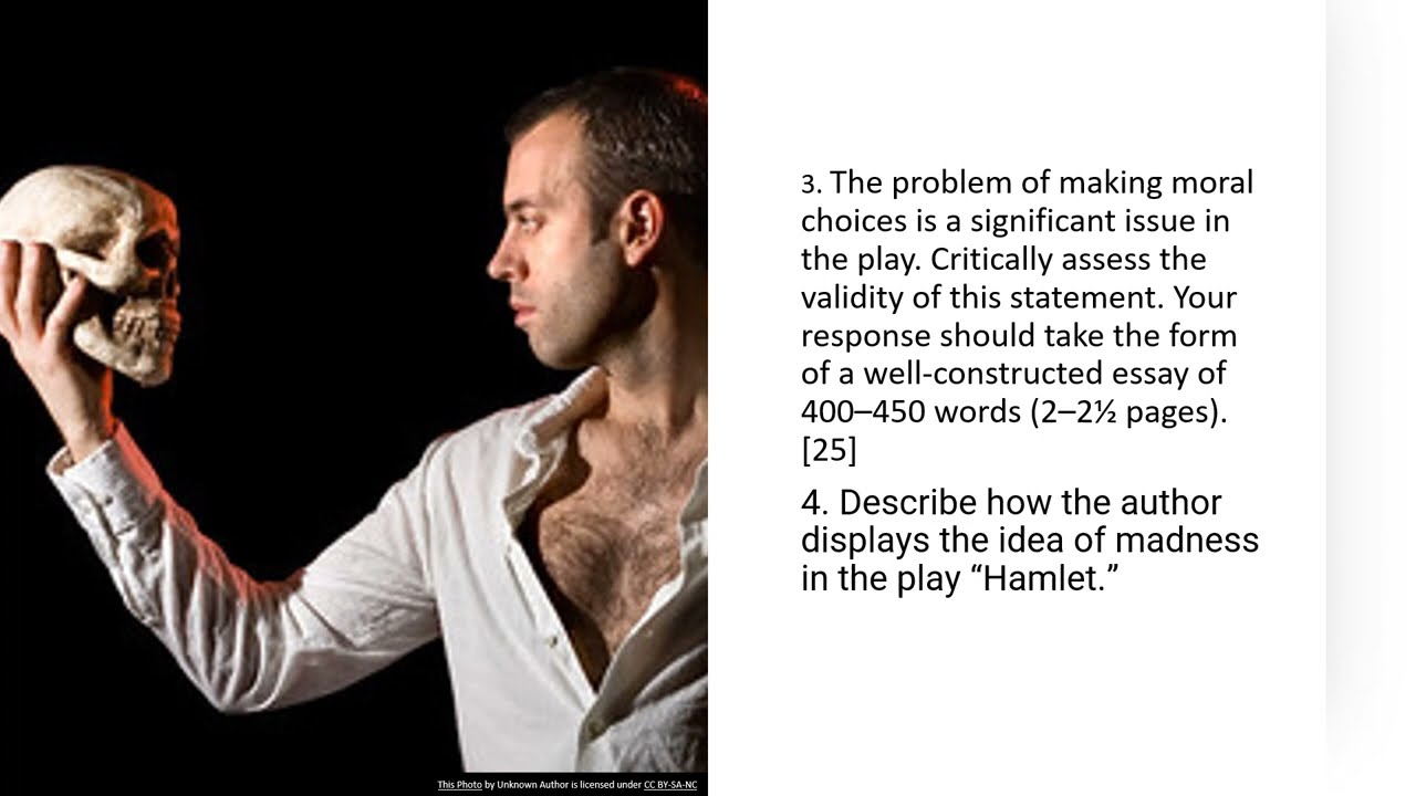 Hamlet essay questions