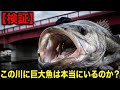 想像を絶する怪物が現れました…