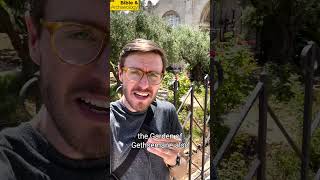 What Is The Garden Of Gethsemane? Bible Archaeology