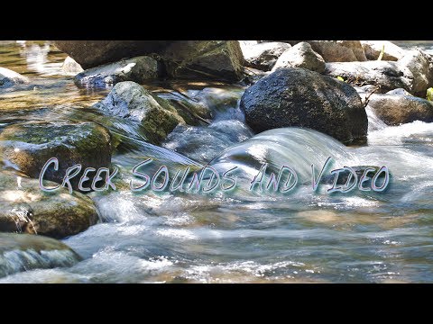 Nature Sounds Forest Creek Sounds + Video in HD 1080p.
