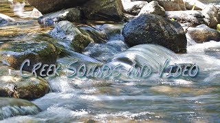 Nature Sounds Forest Creek Sounds + Video in HD 1080p.