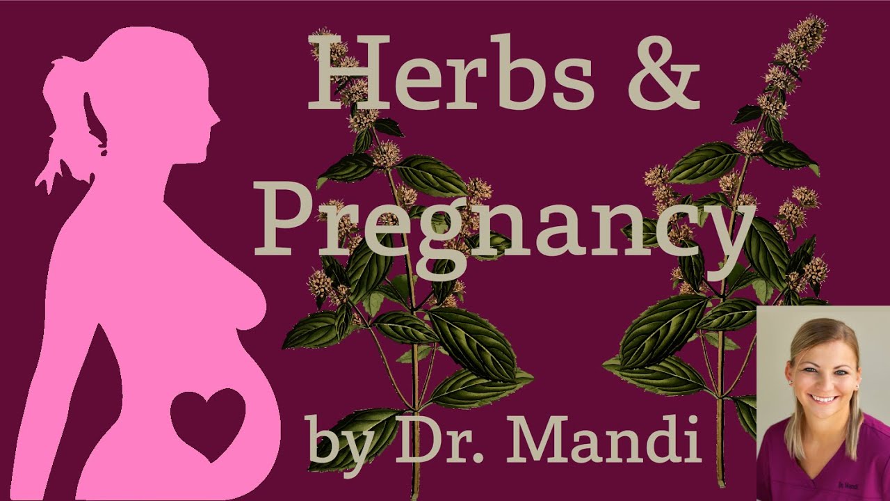 Herbs and Pregnancy YouTube