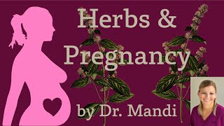 Herbs and Pregnancy