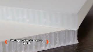 HOLYPAN (thermoplastic honeycomb sandwich panel)