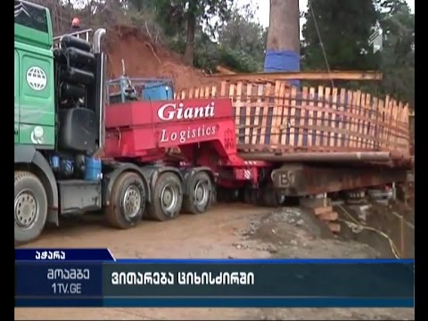 ციხისძირში ასწლოვანი ხეების გადასატანი სამუშაოები მიმდინარეობს