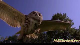 Download Lagu Oraayiram Parvaiyile|| by ELANGOVAN.A ||***M50 sound's*** MP3