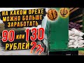 На каком орехе можно больше заработать - за 90 или за 130 рублей? Взяли Тонну ореха на переработку.