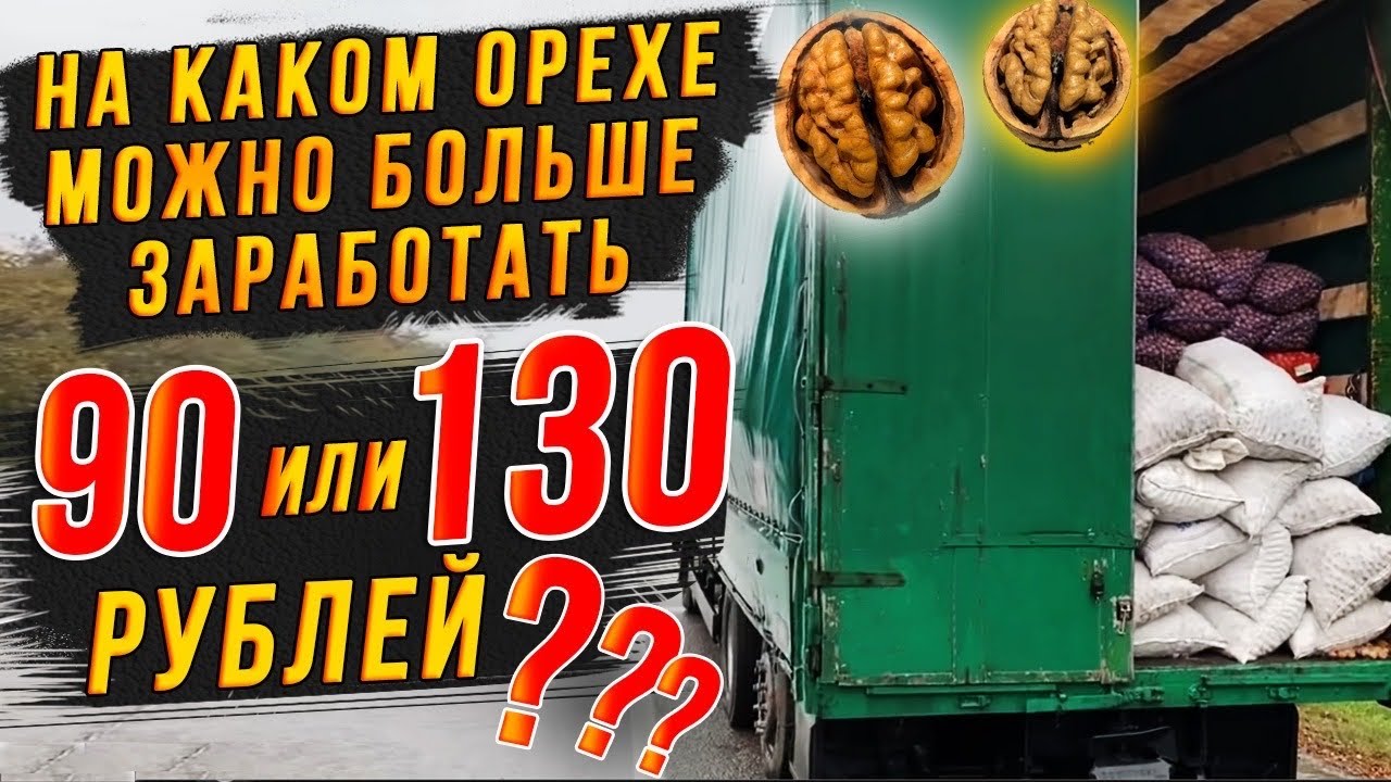 В Магазине Продано 12 Тонн Орехов