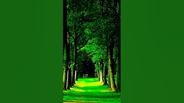 902* سورة الماعون # خالد القحطاني #القرآن_الكريم #المصحف #الذكر_الحكيم #القرآن #الماعون #