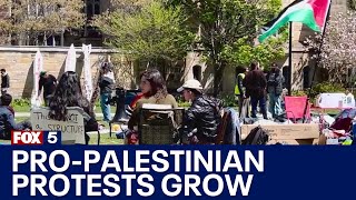 Pro-Palestinian protests across US | FOX 5 News