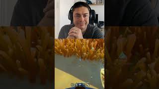 Subnautica 2 hands-free! #accessibility #assistivetechnology #subnautica2