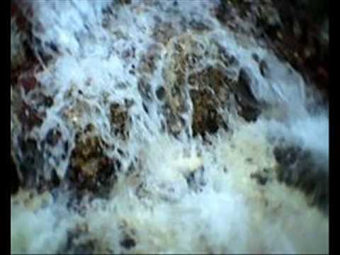 مهرجان اديك فى السقف تمحر