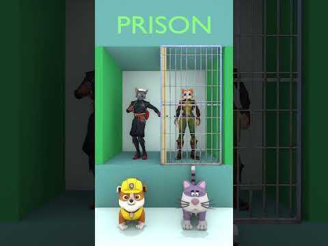 who will win? #shorts