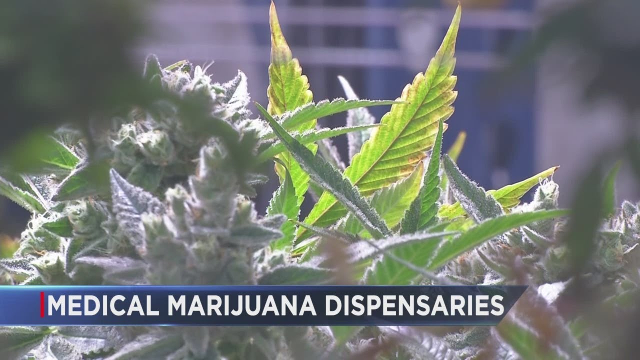 PTSD medical marijuana