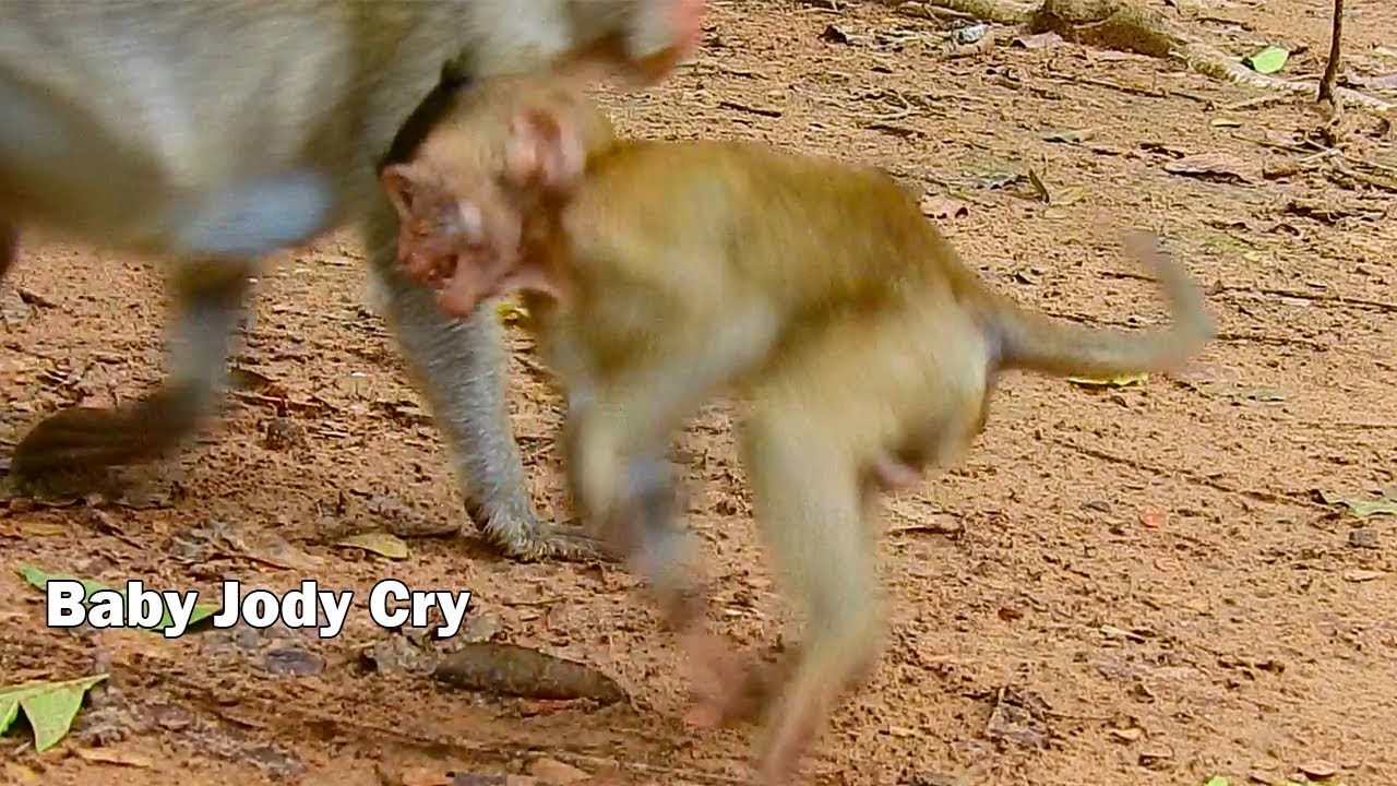 Cry Angry horrible ! Baby Jody crying seizures Angry so horrible by mom run out from him