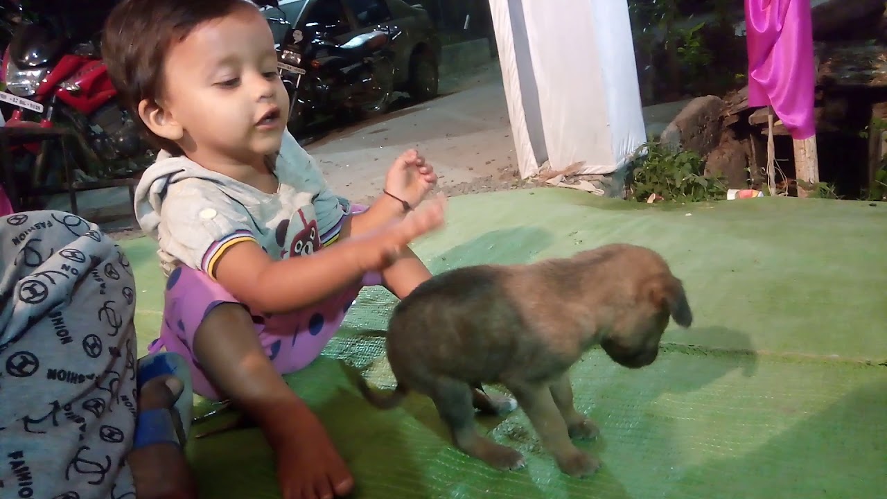 camera iphone 8 plus apk Small child playing with puppy