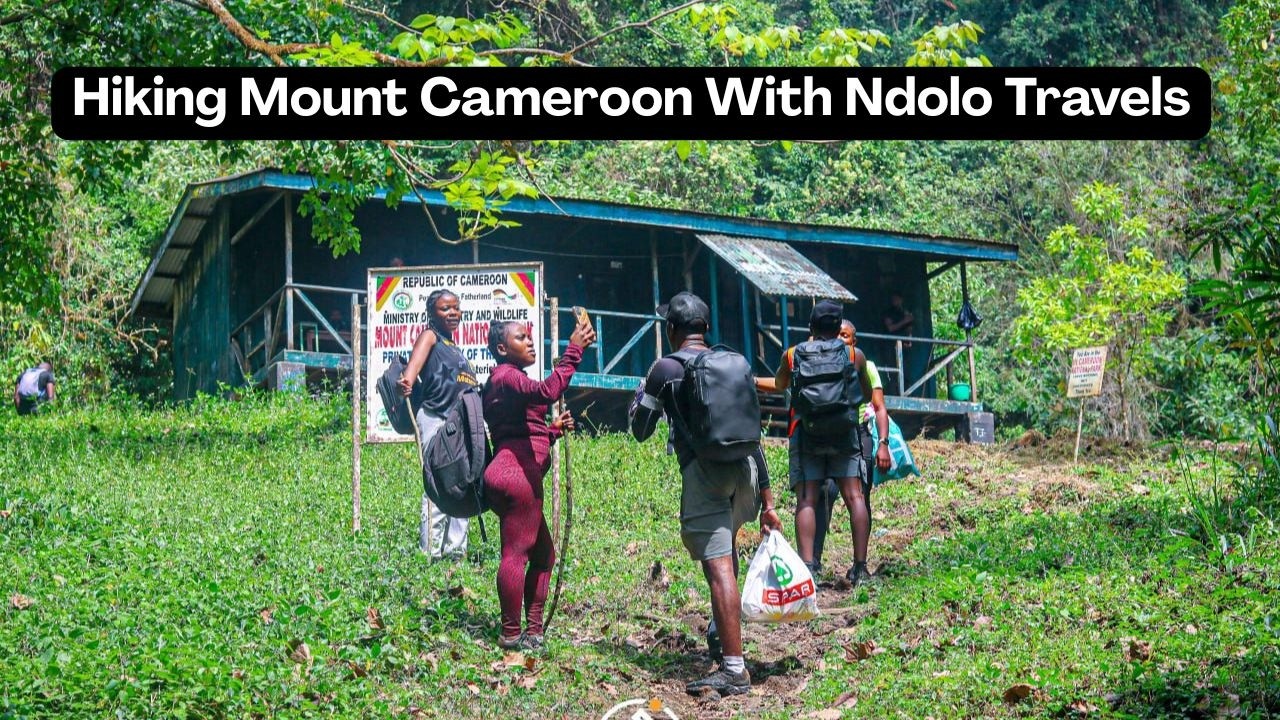 Hiking Mount Cameroon With Ndolo Travels | A Real Journey to the Summit (Part 2)