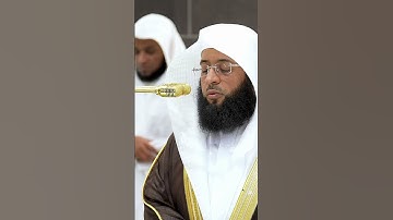 سورة الضحى | الشيخ بدر التركي
