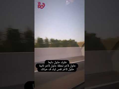 حاول دايما