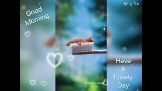Good Morning Have A Lovely Day gif What’s Up Status Video | Baby Boy Cute Video | Baby Status 👍