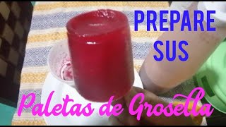 PALETAS DE GROSELLA fácil de preparar #1 en ventas