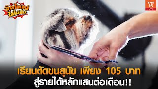 เรียนตัดขนสุนัข เพียง 105 บาท สู่รายได้หลักแสนต่อเดือน!! l จัดใหญ่ ใส่ไม่ยั้ง l 01-01-2021