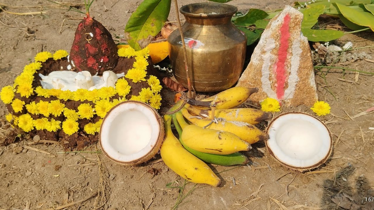 பொங்கல் 2026 @smkgnanavel #pongal #தமிழ் #தமிழ்நாடு #மாட்டுபொங்கல் 