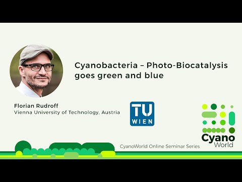 Vídeo: Um Sistema De Células Inteiras Baseado Em CYP21A2 Em Escherichia Coli Para A Produção Biotecnológica De Premedrol