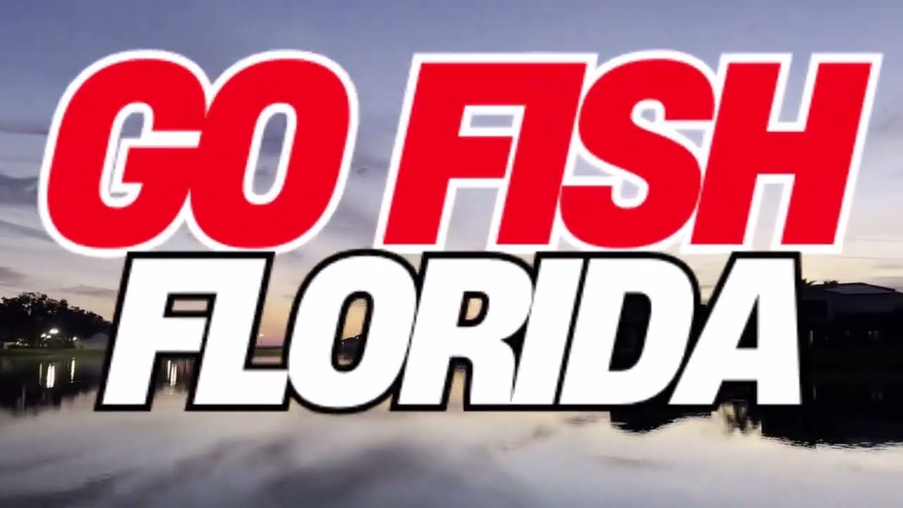 Fishing Hidden Florida Ponds for BASS
