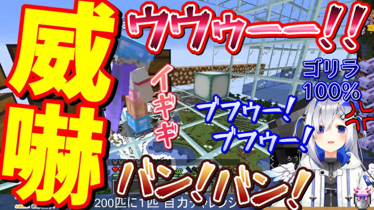 【天音かなた】100%ゴリラ化して人語を失いししろんを全力で威嚇する天音かなた【ホロライブ/ホロライブ切り抜き】